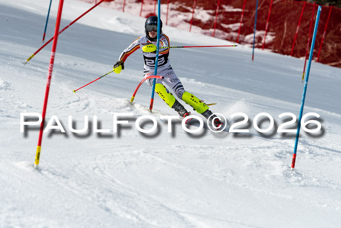 FIS Slalom + NJC Damen + FIS Herren 13.02.2026