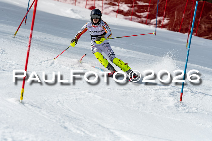 FIS Slalom + NJC Damen + FIS Herren 13.02.2026