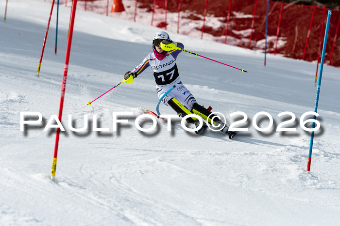 FIS Slalom + NJC Damen + FIS Herren 13.02.2026