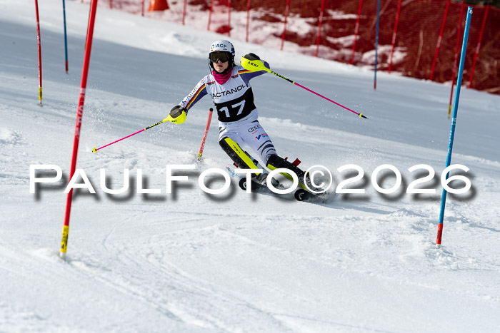 FIS Slalom + NJC Damen + FIS Herren 13.02.2026