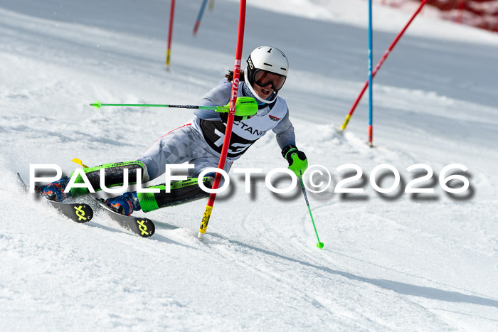 FIS Slalom + NJC Damen + FIS Herren 13.02.2026