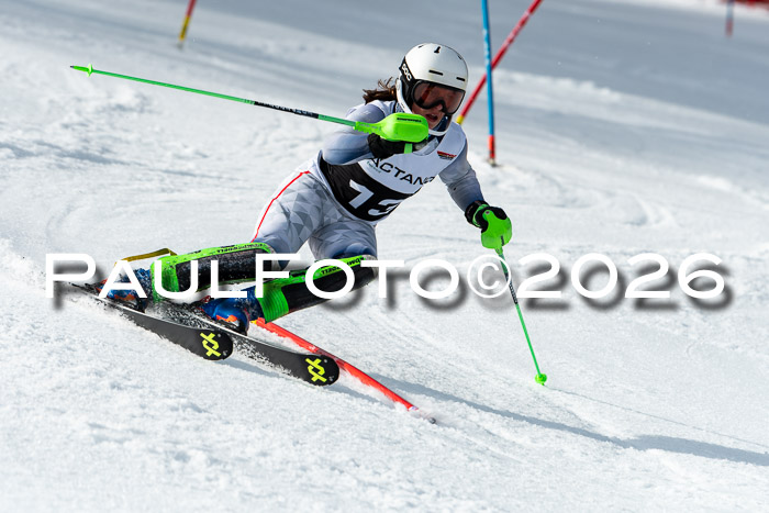 FIS Slalom + NJC Damen + FIS Herren 13.02.2026