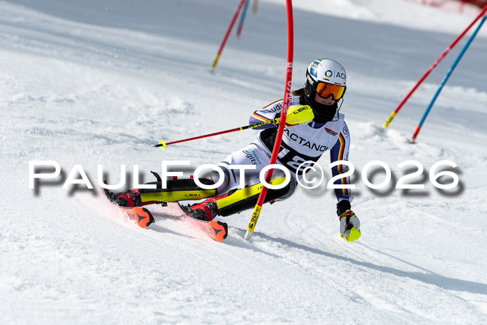 FIS Slalom + NJC Damen + FIS Herren 13.02.2026