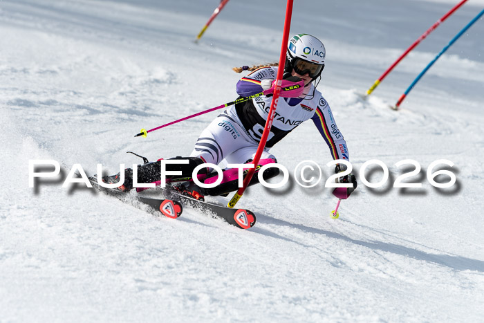 FIS Slalom + NJC Damen + FIS Herren 13.02.2026