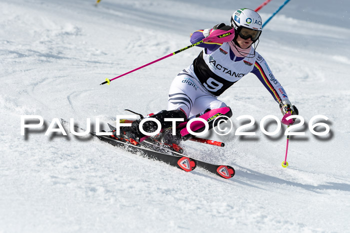 FIS Slalom + NJC Damen + FIS Herren 13.02.2026