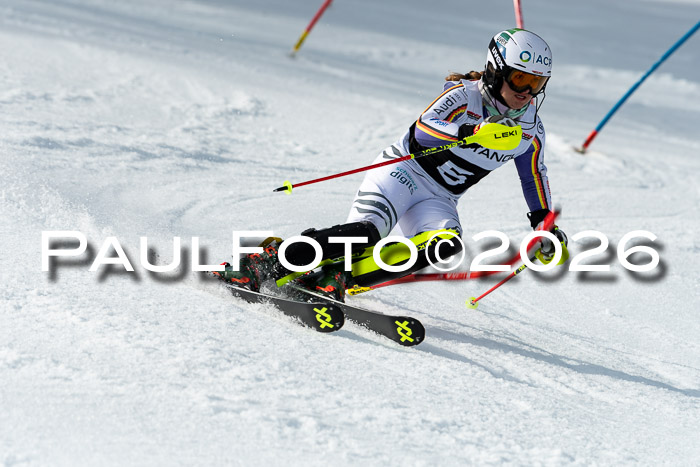 FIS Slalom + NJC Damen + FIS Herren 13.02.2026