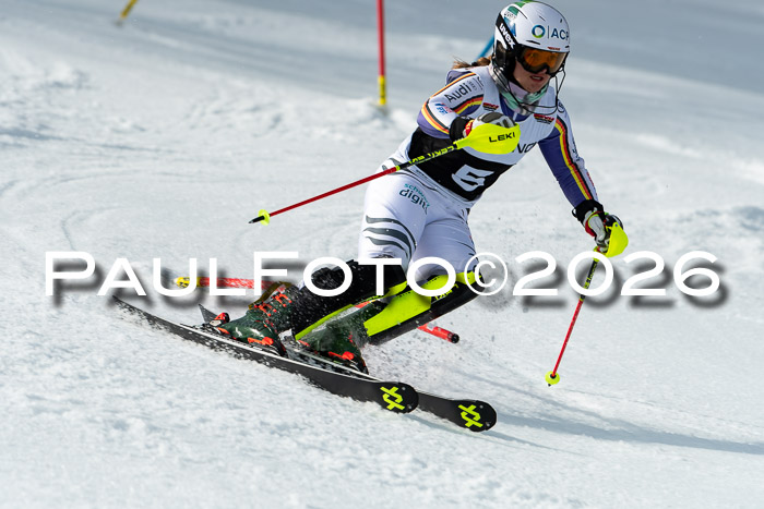 FIS Slalom + NJC Damen + FIS Herren 13.02.2026