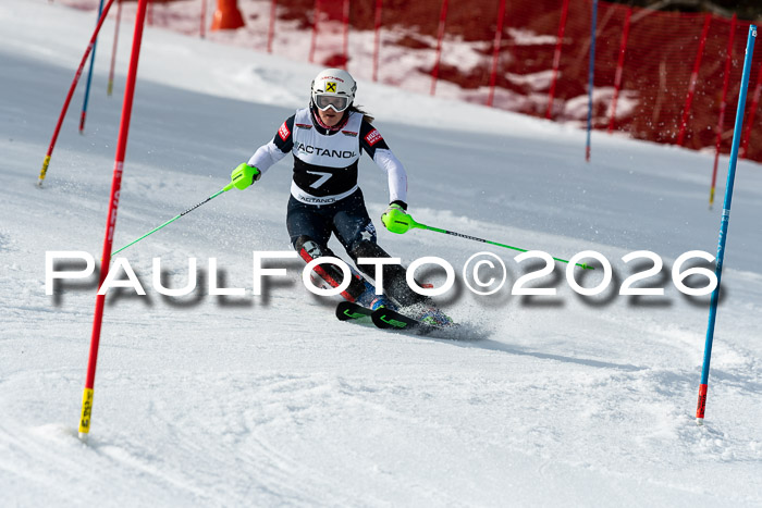FIS Slalom + NJC Damen + FIS Herren 13.02.2026