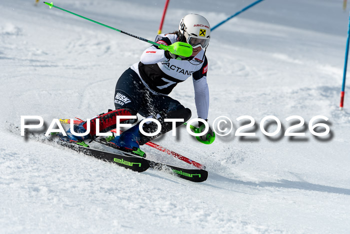 FIS Slalom + NJC Damen + FIS Herren 13.02.2026