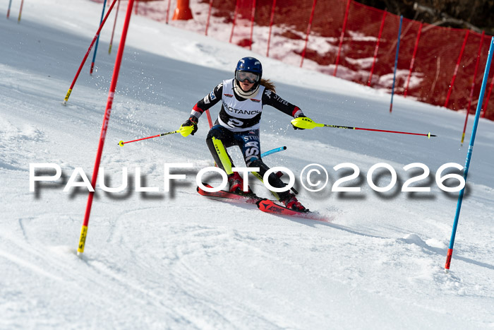 FIS Slalom + NJC Damen + FIS Herren 13.02.2026