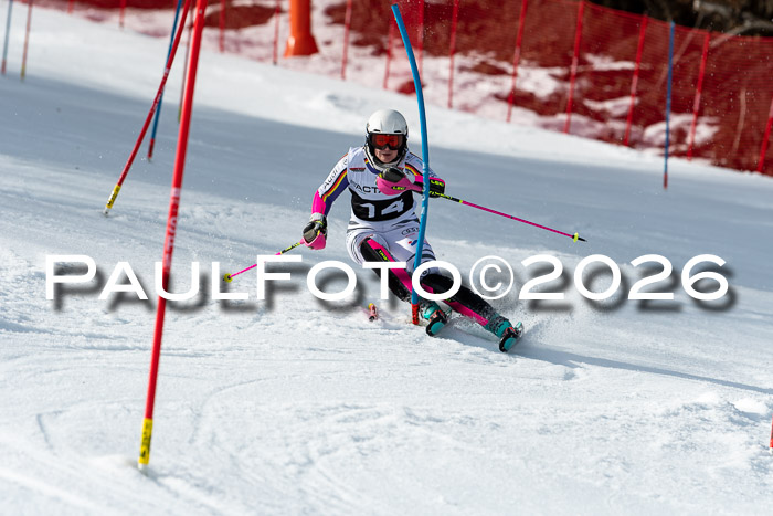 FIS Slalom + NJC Damen + FIS Herren 13.02.2026