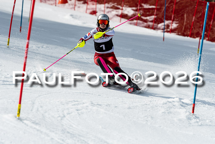 FIS Slalom + NJC Damen + FIS Herren 13.02.2026