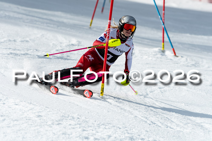 FIS Slalom + NJC Damen + FIS Herren 13.02.2026