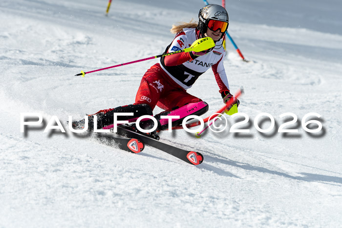FIS Slalom + NJC Damen + FIS Herren 13.02.2026