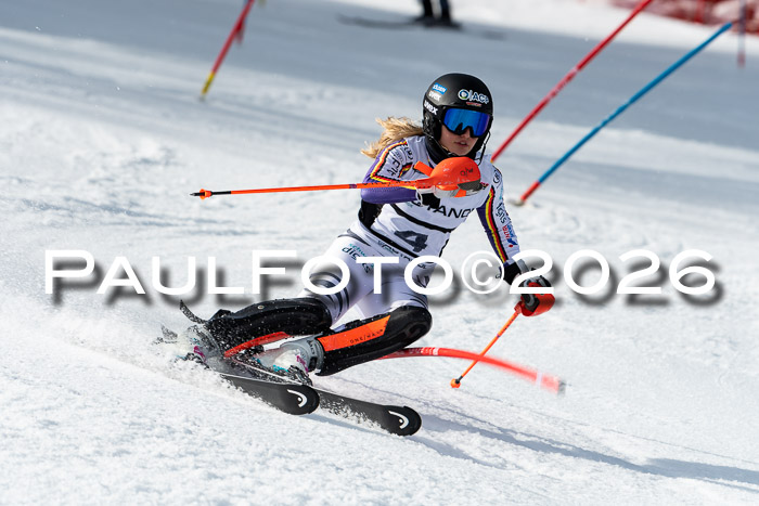 FIS Slalom + NJC Damen + FIS Herren 13.02.2026