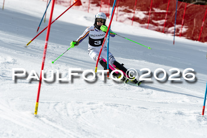 FIS Slalom + NJC Damen + FIS Herren 13.02.2026