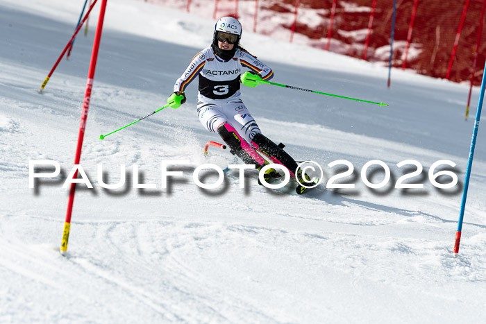 FIS Slalom + NJC Damen + FIS Herren 13.02.2026