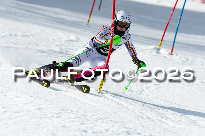 FIS Slalom + NJC Damen + FIS Herren 13.02.2026