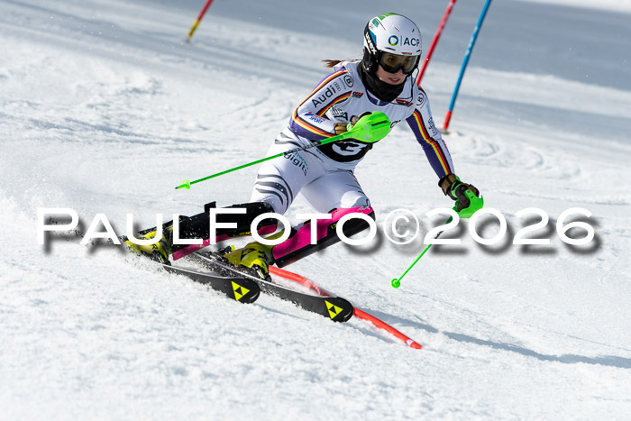 FIS Slalom + NJC Damen + FIS Herren 13.02.2026