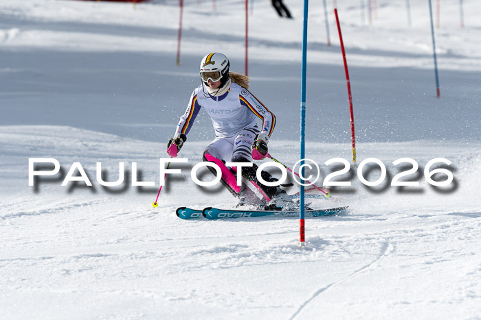 FIS Slalom + NJC Damen + FIS Herren 13.02.2026