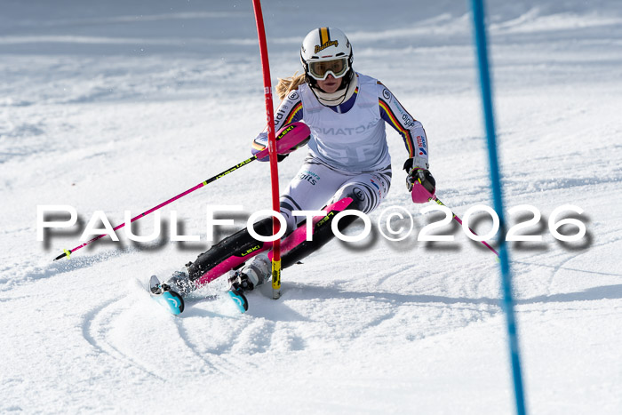 FIS Slalom + NJC Damen + FIS Herren 13.02.2026