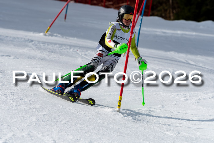 FIS Slalom + NJC Damen + FIS Herren 13.02.2026