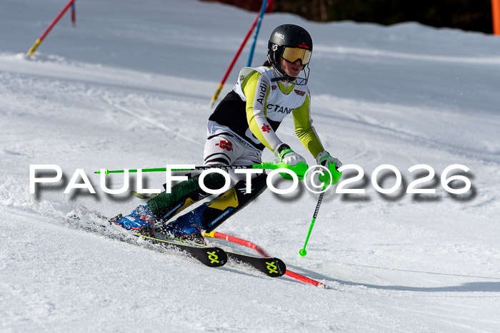 FIS Slalom + NJC Damen + FIS Herren 13.02.2026