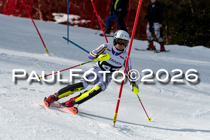 FIS Slalom + NJC Damen + FIS Herren 13.02.2026