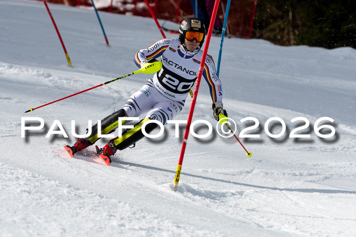 FIS Slalom + NJC Damen + FIS Herren 13.02.2026