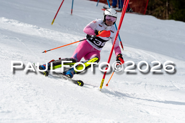 FIS Slalom + NJC Damen + FIS Herren 13.02.2026