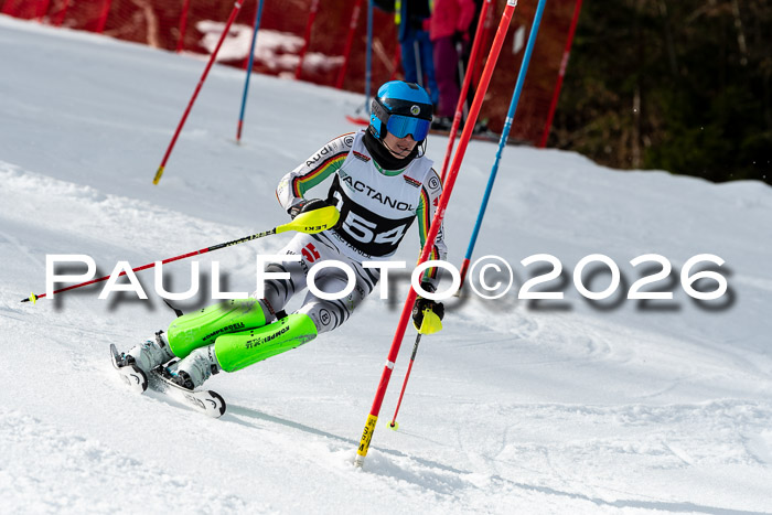 FIS Slalom + NJC Damen + FIS Herren 13.02.2026