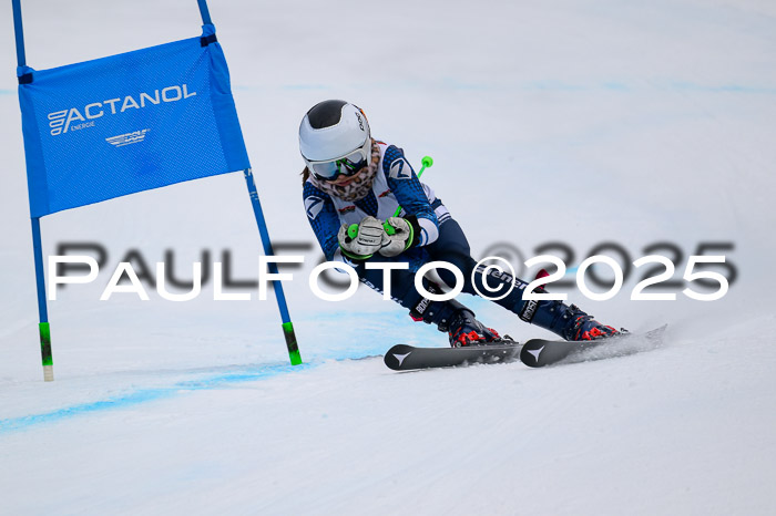 DSV Actanol Schülercup U16  RS, 31.01.2026