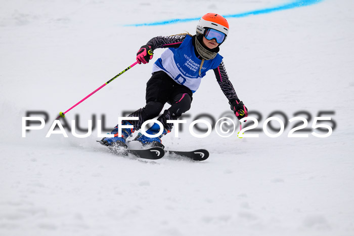 BSV Skiliga Bayern Schüler RS 14.02.2026