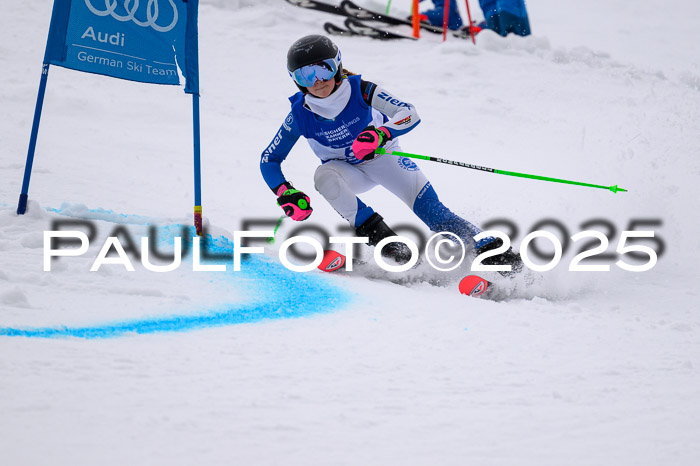 BSV Skiliga Bayern Schüler RS 14.02.2026