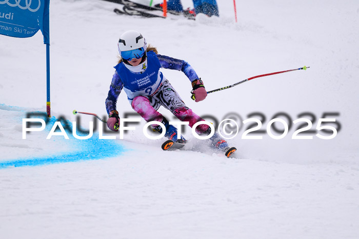 BSV Skiliga Bayern Schüler RS 14.02.2026