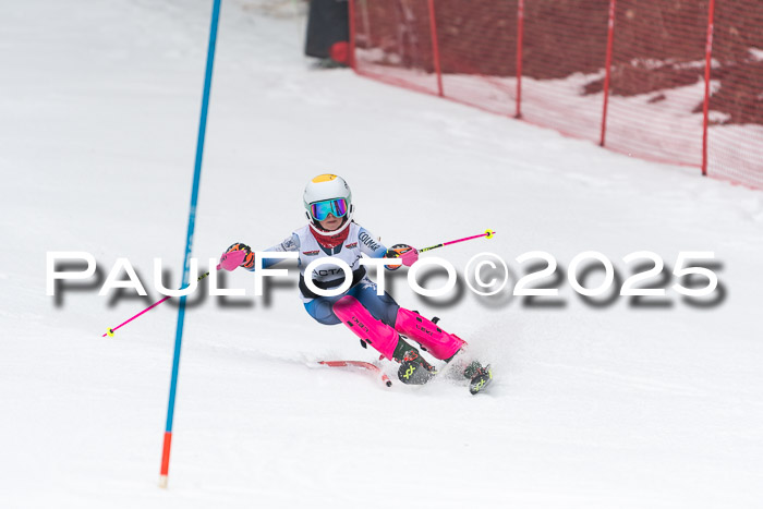 Actanol Schülercup Alpin U14 SL, 14.02.2026