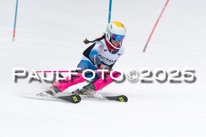 Actanol Schülercup Alpin U14 SL, 14.02.2026