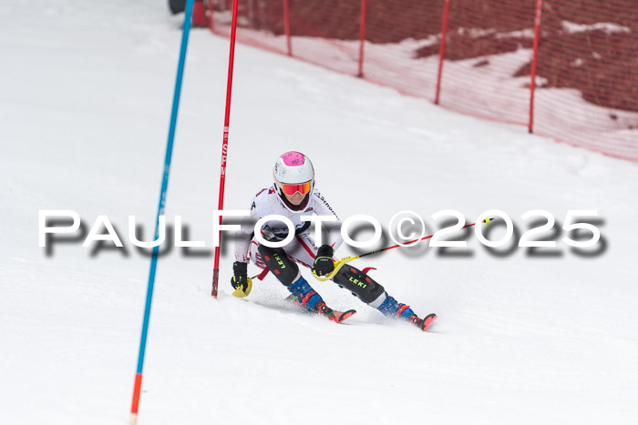Actanol Schülercup Alpin U14 SL, 14.02.2026