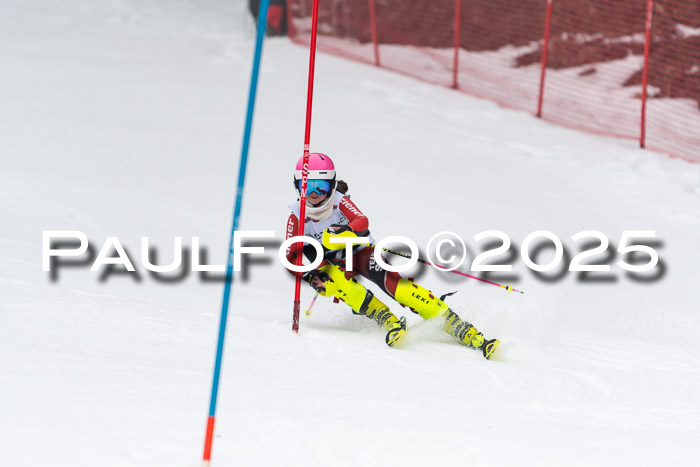 Actanol Schülercup Alpin U14 SL, 14.02.2026