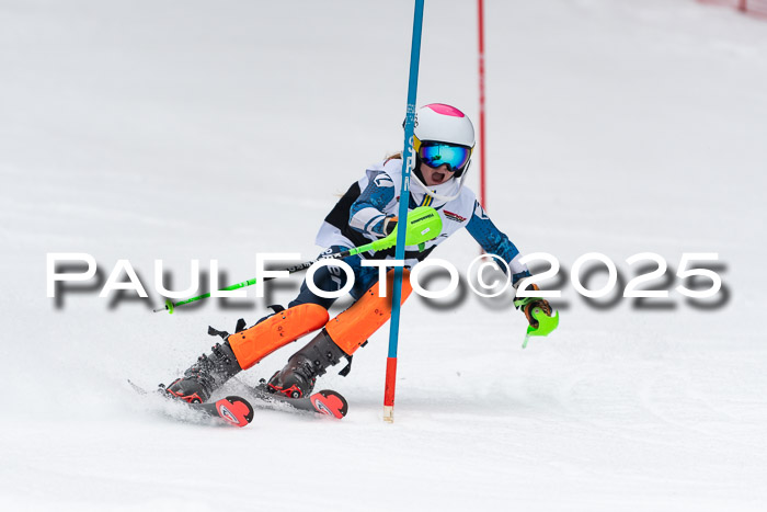 Actanol Schülercup Alpin U14 SL, 14.02.2026