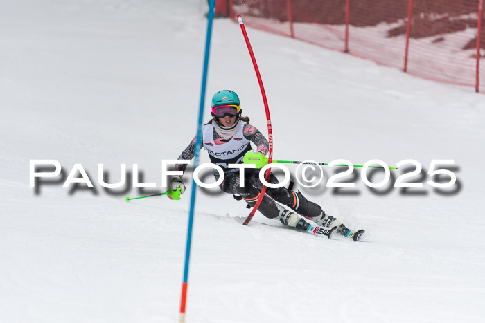 Actanol Schülercup Alpin U14 SL, 14.02.2026