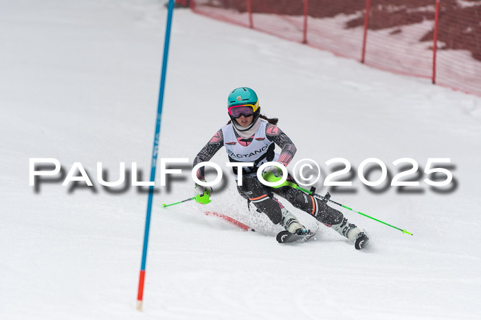 Actanol Schülercup Alpin U14 SL, 14.02.2026
