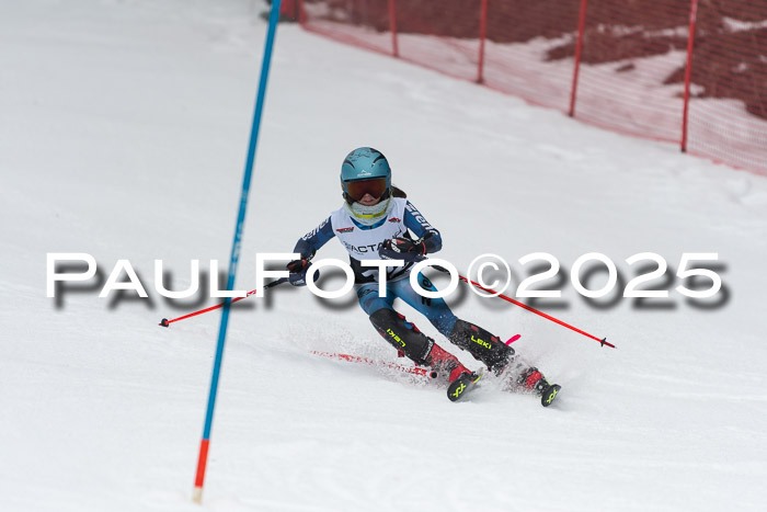 Actanol Schülercup Alpin U14 SL, 14.02.2026