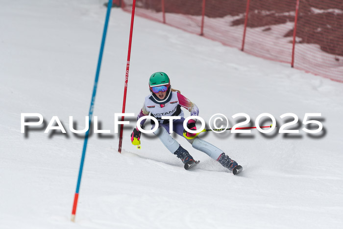 Actanol Schülercup Alpin U14 SL, 14.02.2026
