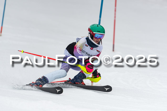 Actanol Schülercup Alpin U14 SL, 14.02.2026