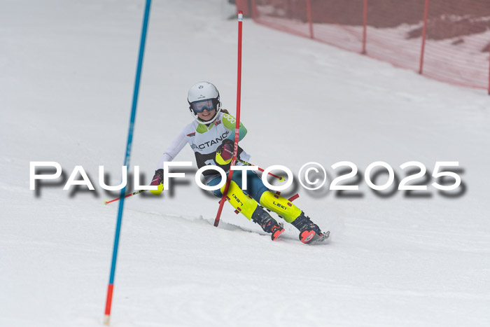 Actanol Schülercup Alpin U14 SL, 14.02.2026