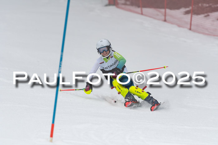 Actanol Schülercup Alpin U14 SL, 14.02.2026