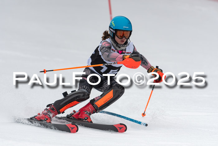 Actanol Schülercup Alpin U14 SL, 14.02.2026