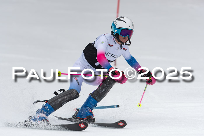 Actanol Schülercup Alpin U14 SL, 14.02.2026
