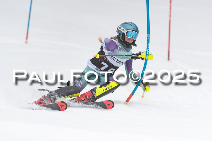 Actanol Schülercup Alpin U14 SL, 14.02.2026